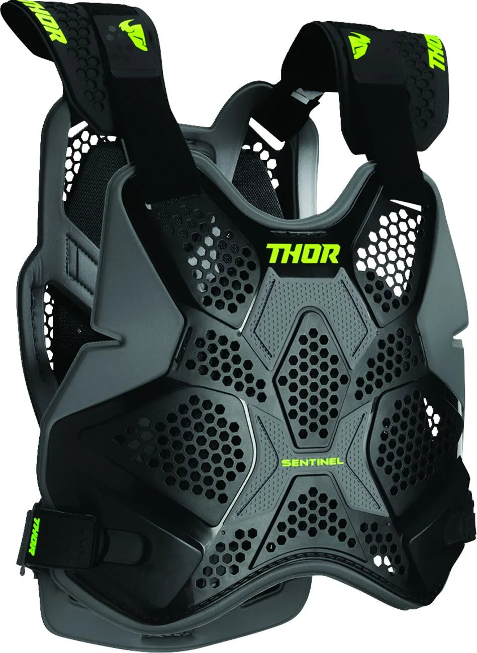 Thor Sentinel Pro Guard