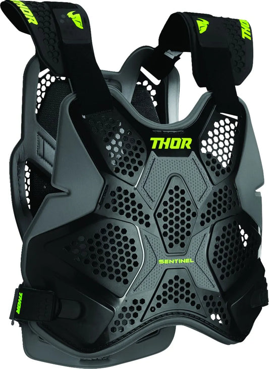 Thor Sentinel Pro Guard