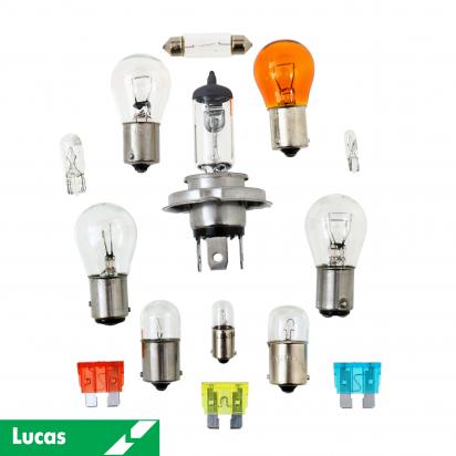 Replacement Bulb + Fuse Kit - 14 Piece